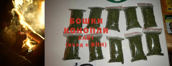 винт Аркадак