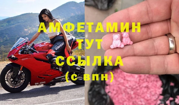 гашик Алексин