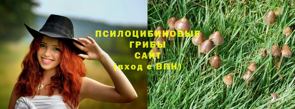 винт Аркадак
