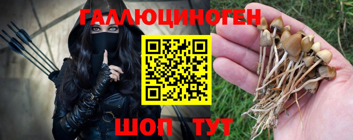 Псилоцибиновые грибы ЛСД Сибай